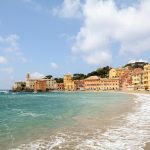 Madeira: quando andare per vivere una vacanza da sogno